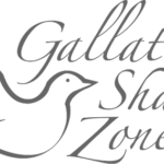 gallatin shalom zone